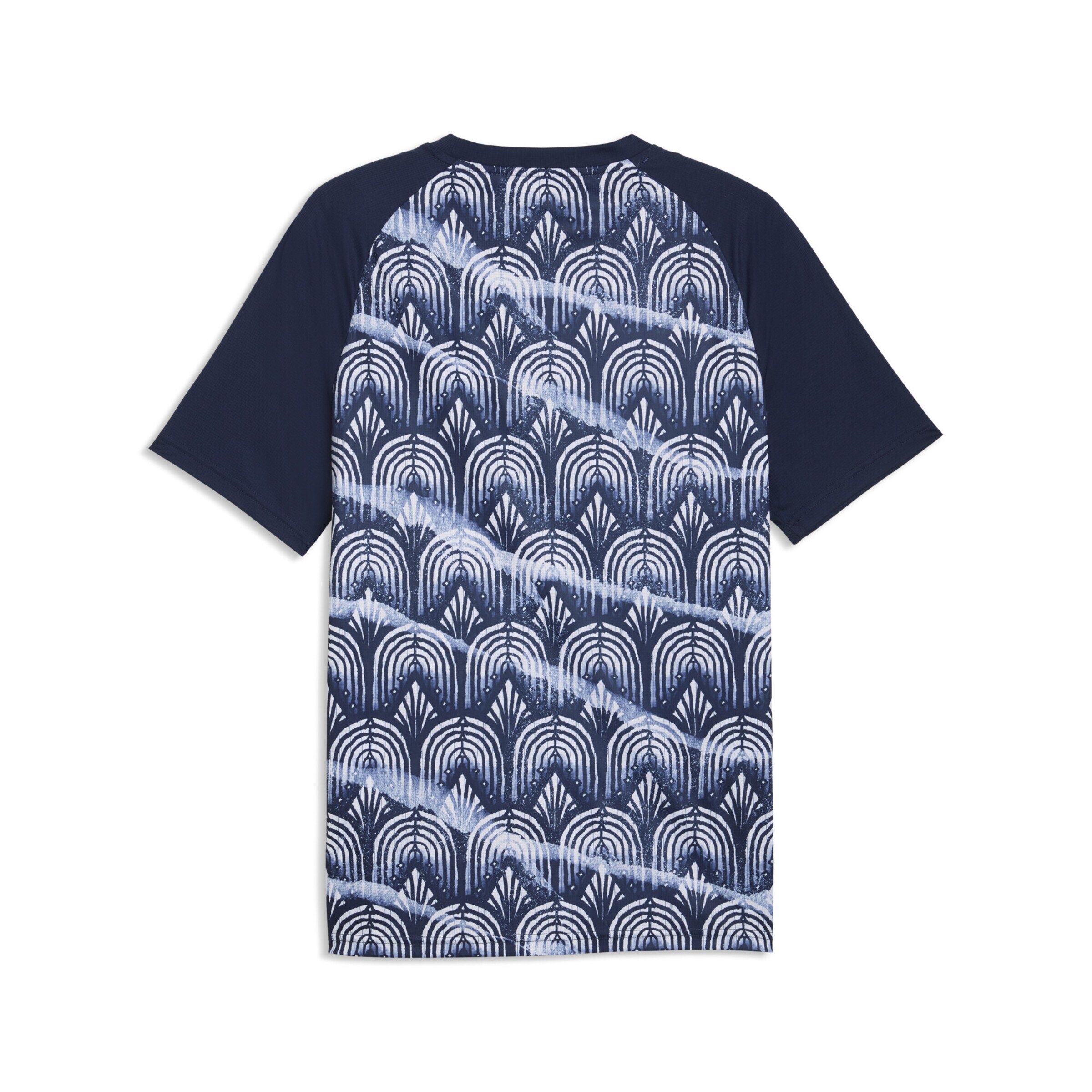 PUMA Tricot 'Österreich' in Blauw