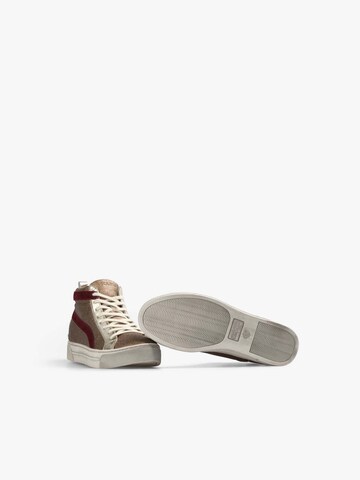 Scalpers Sneaker high in Gold
