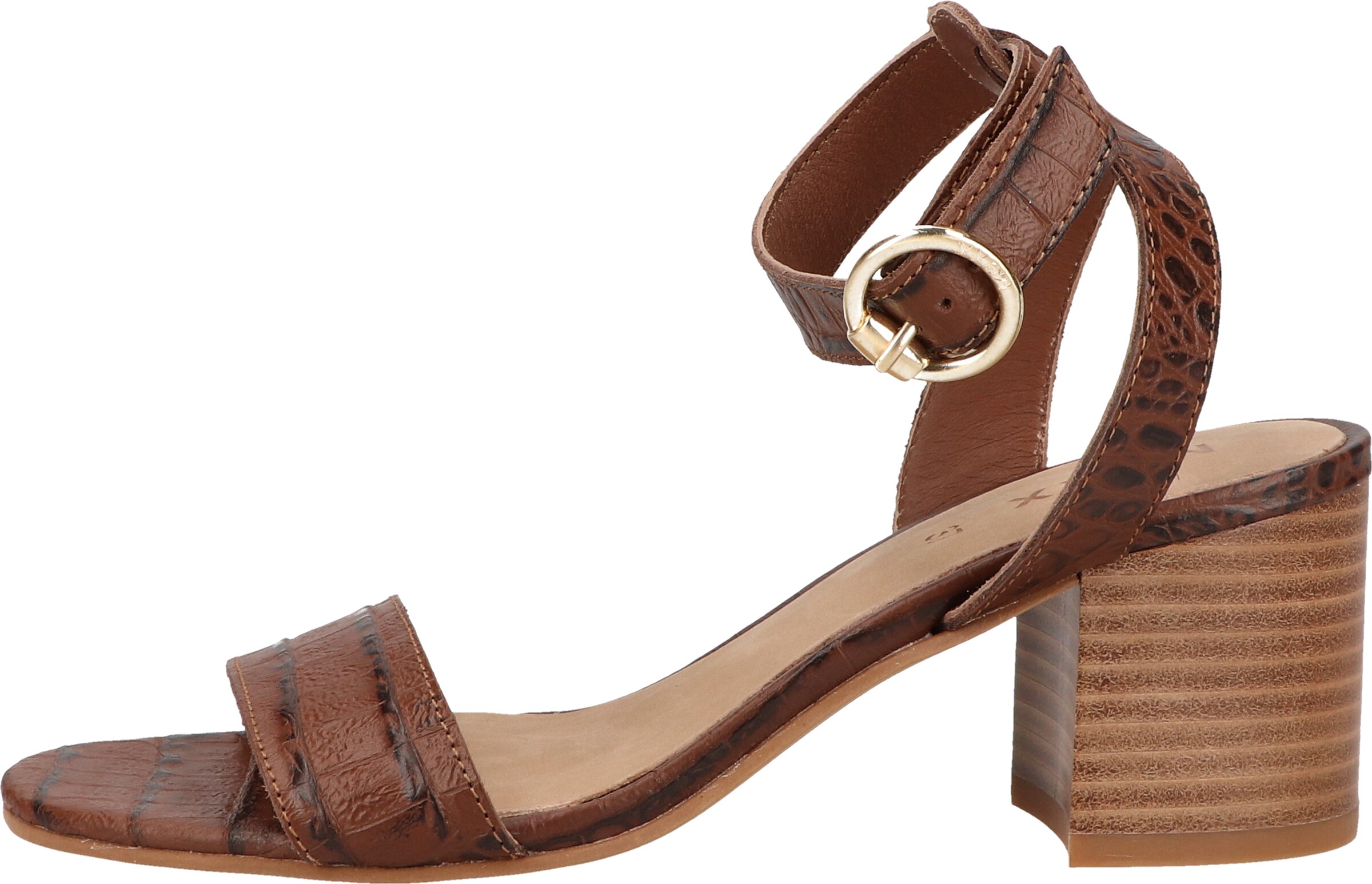 Sandalo con cinturino di MEXX in marrone