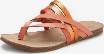 LASCANA Klipklappere i orange: forside