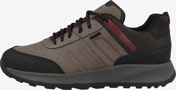 GEOX Sneaker 'Terrestre' in Grau