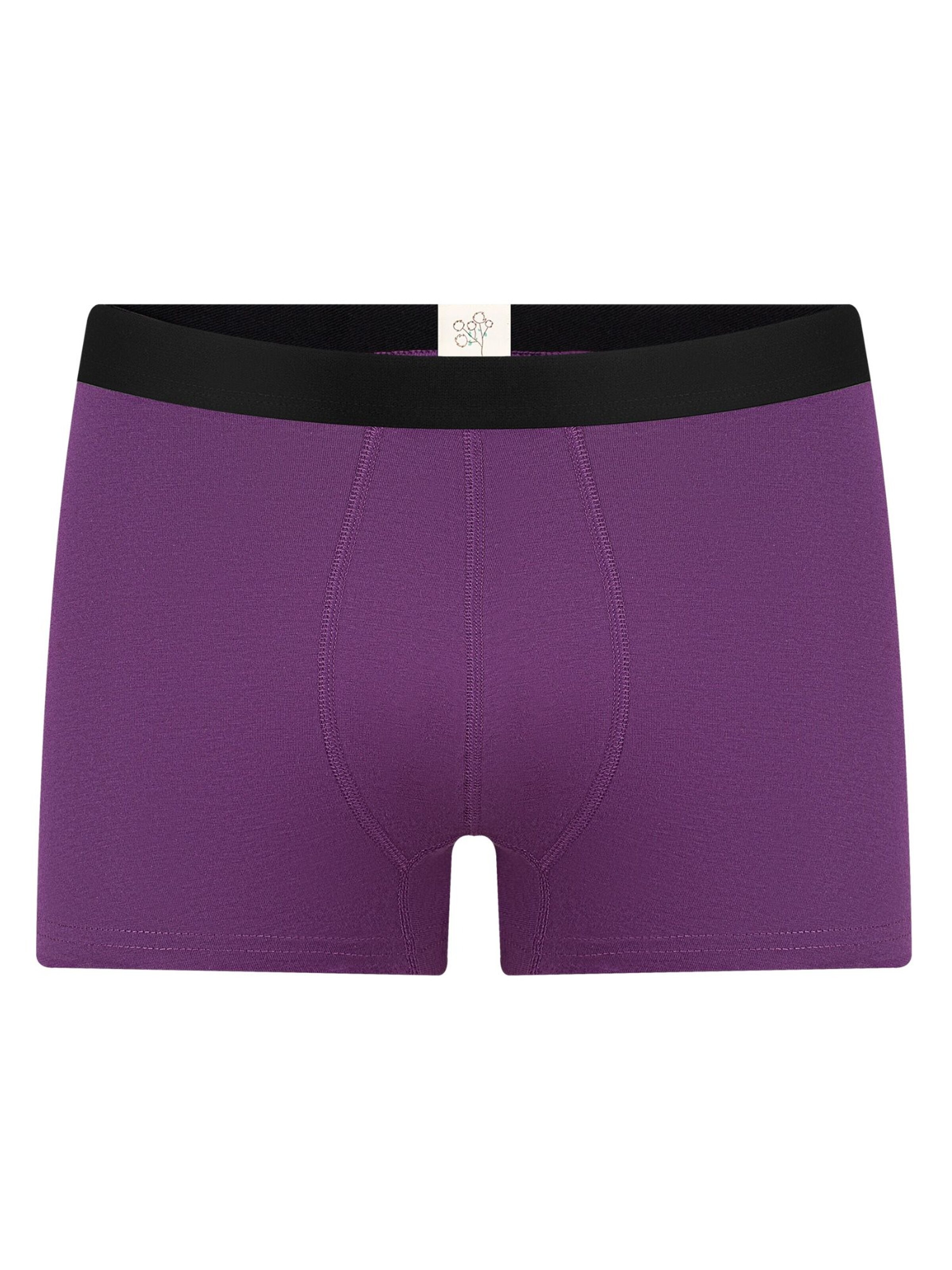 Albero Natur Boxershorts 'Herren Trunkshorts aus Bio-Baumwolle'‌‌ in Lila: Vorderseite
