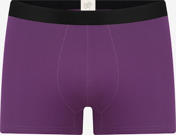Albero Natur Boxershorts 'Herren Trunkshorts aus Bio-Baumwolle' in Lila: Vorderseite