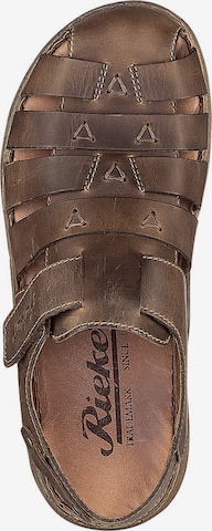 Rieker Sandals in Brown