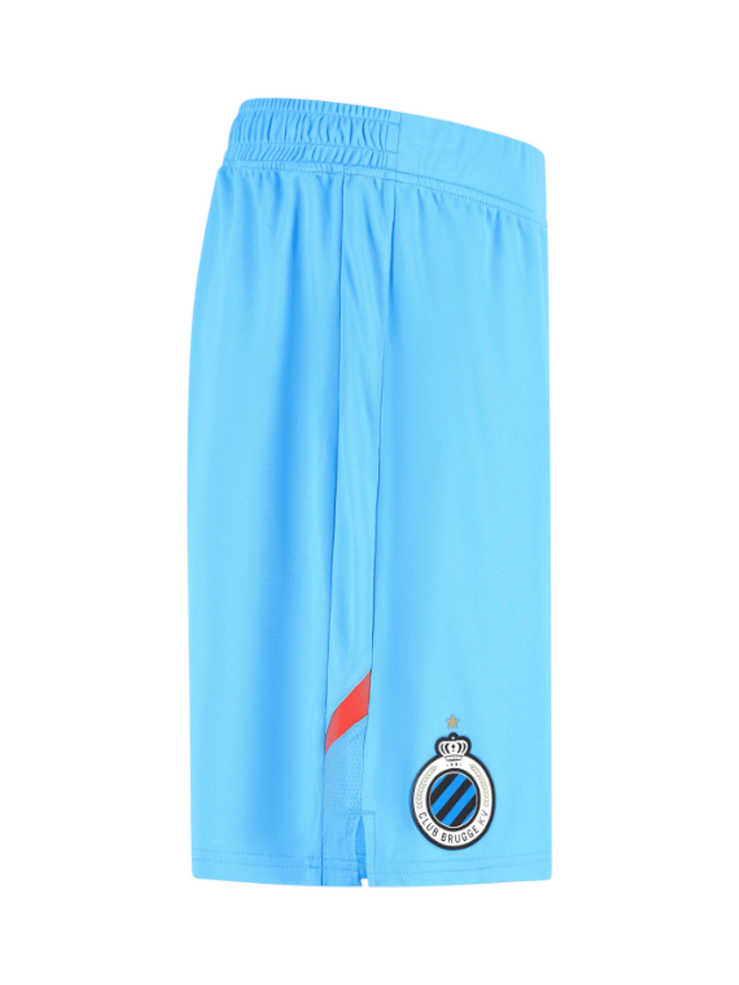 Castor Regular Workout Pants in Blue