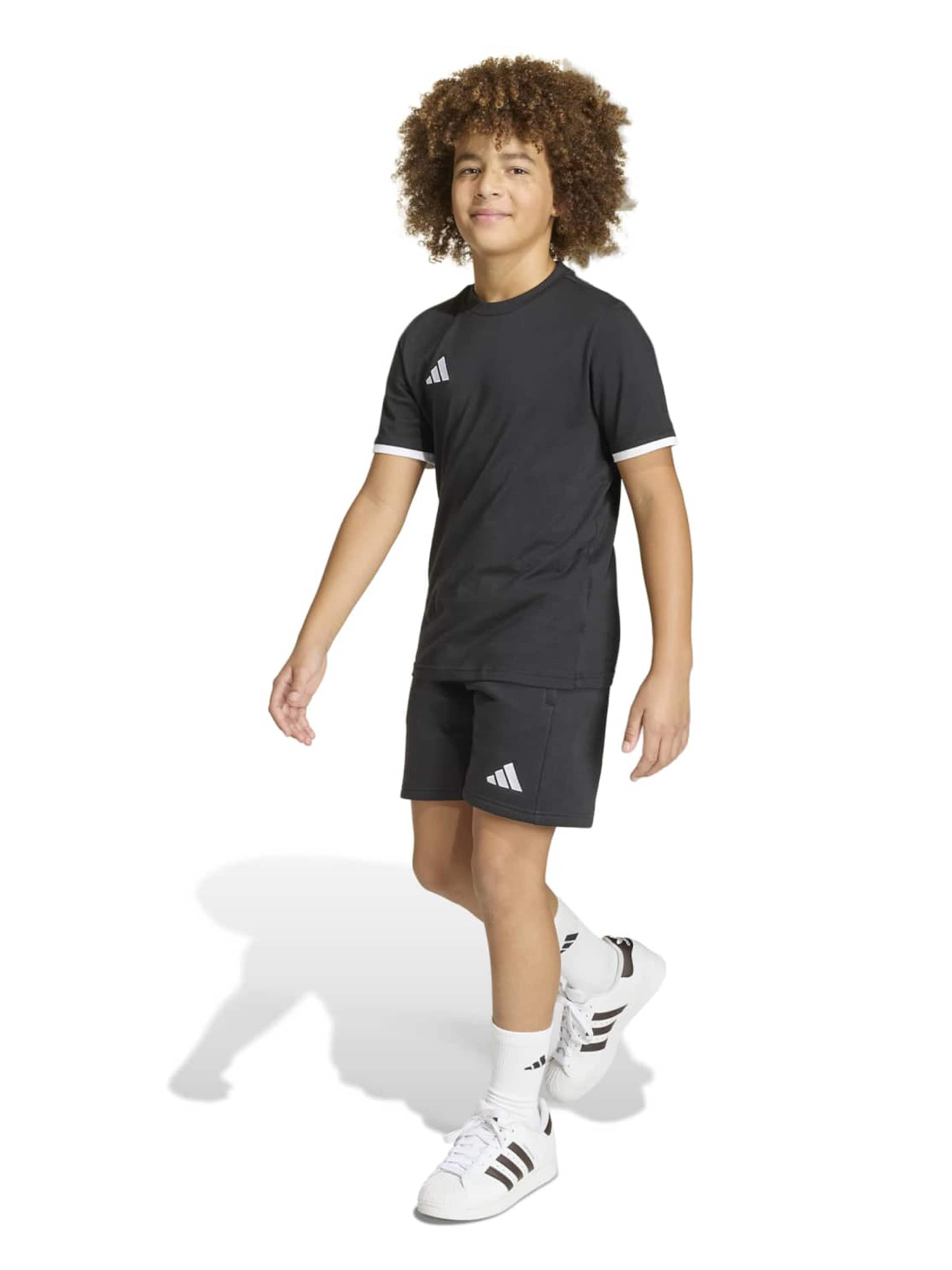 ADIDAS PERFORMANCE Funktionsshirt 'ENT26' in Schwarz