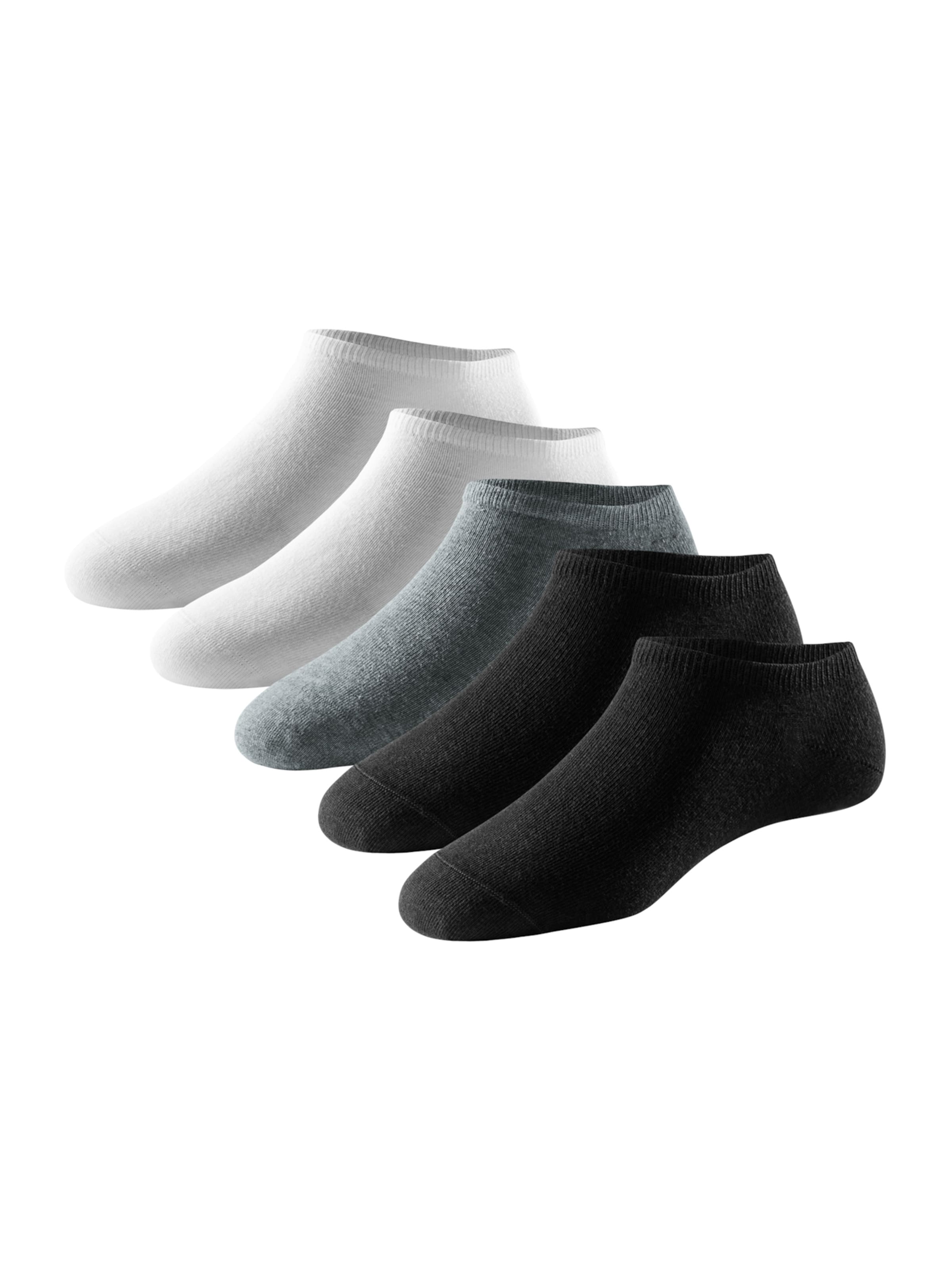 SCHIESSER Socks ' Bluebird ' in Mixed colors: front