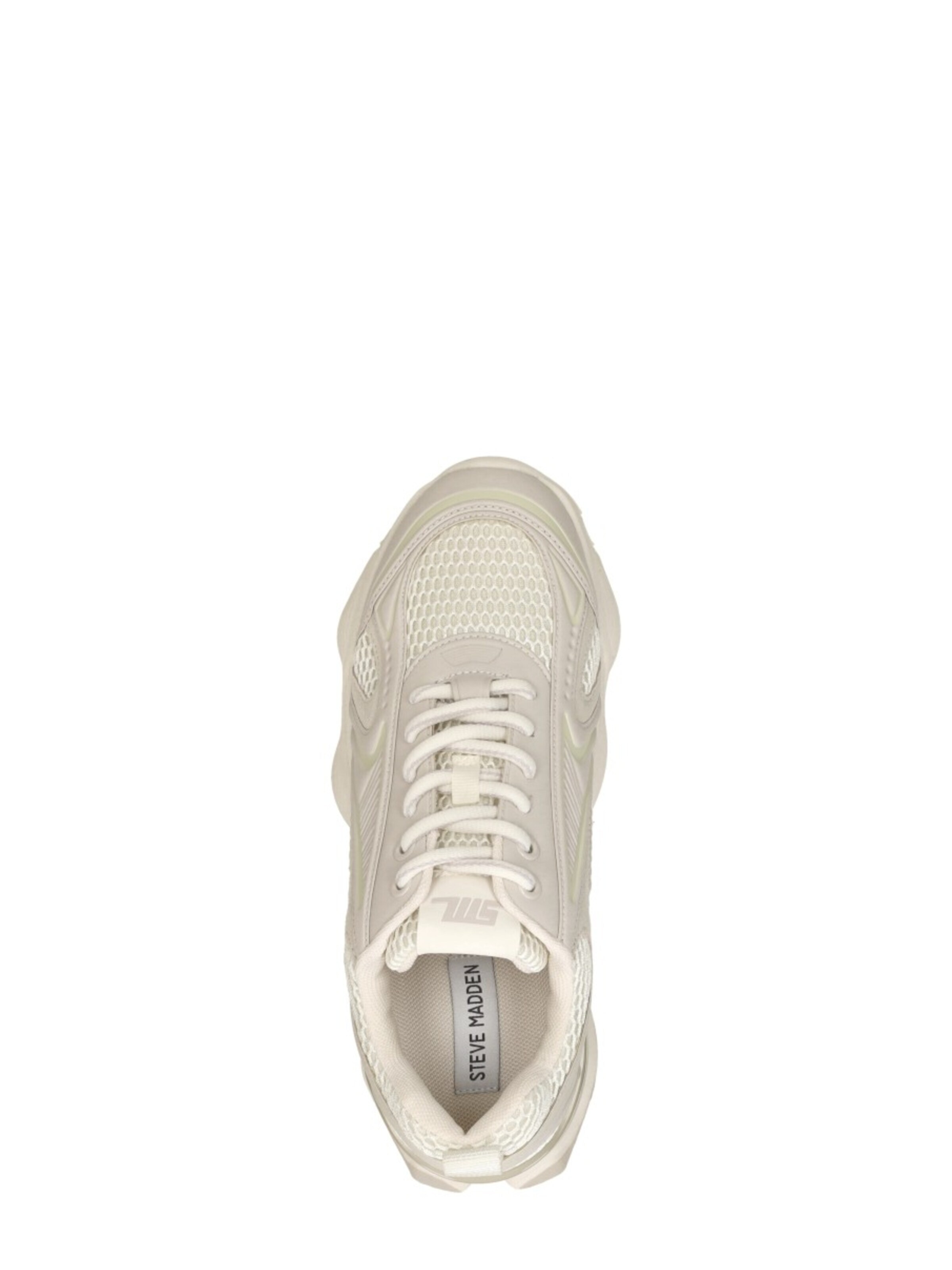 STEVE MADDEN Sneaker low 'Speedster-E'‌‌‌‌‌‌ in Beige