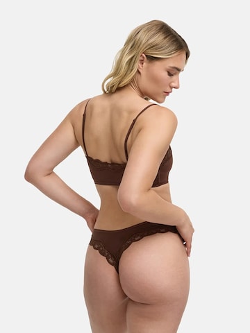 String 'Lace Tanga' cfab (formerly creamy fabrics) en marron