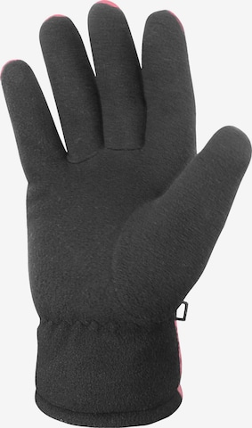 normani Full Finger Gloves 'Lupus' in Grey