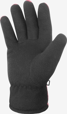 Gants 'Lupus' normani en gris