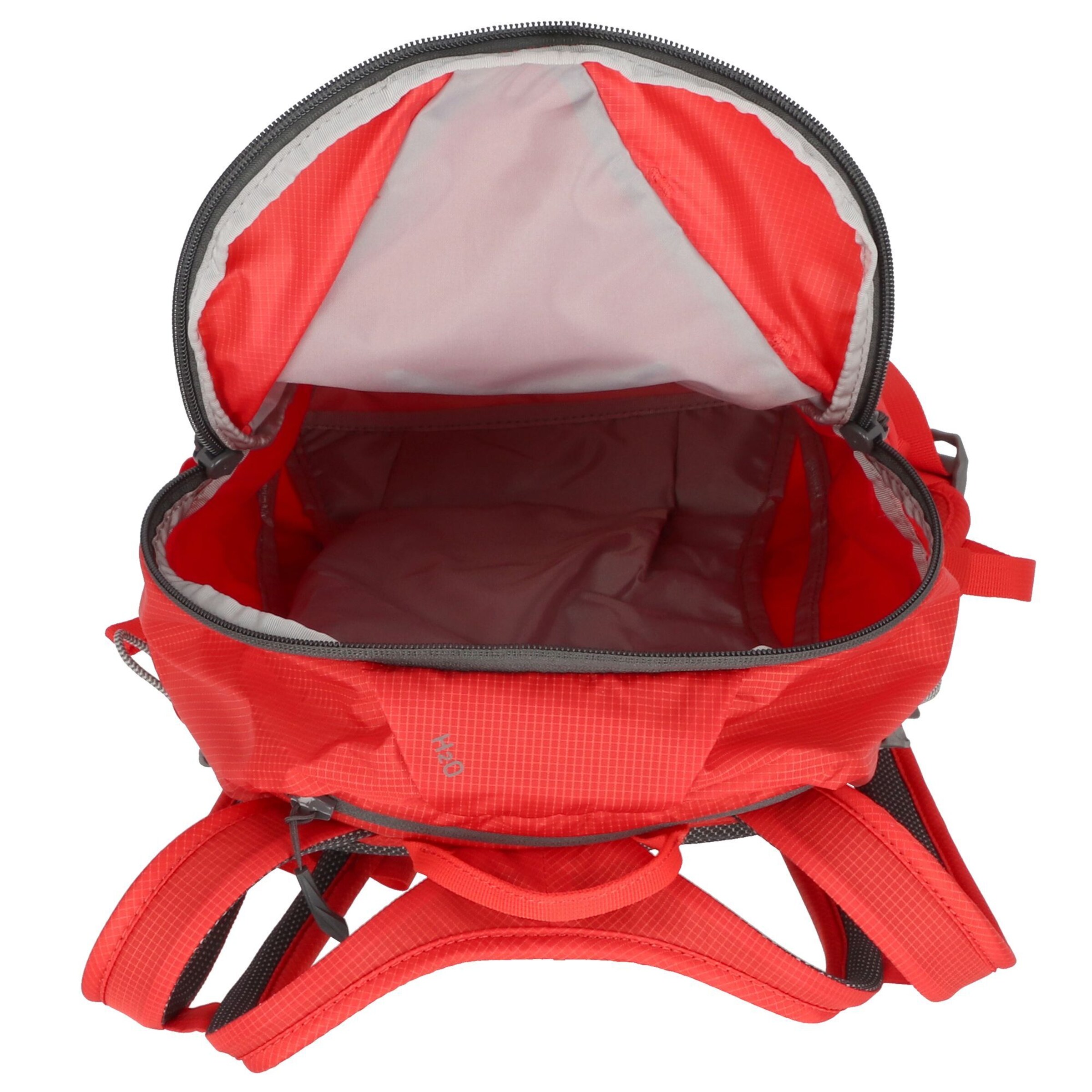 SALEWA Rucksack 'Ultra Train' in Rot