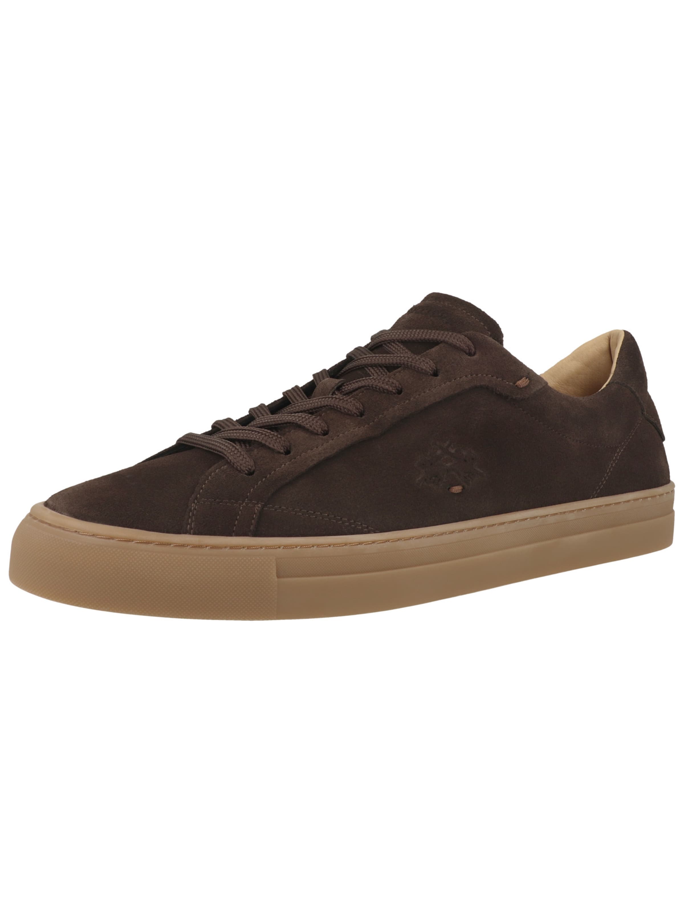 Baskets basses 'LFM262' La Martina en marron : devant