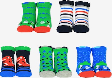 Cucamelon Socks in Mixed colors: front