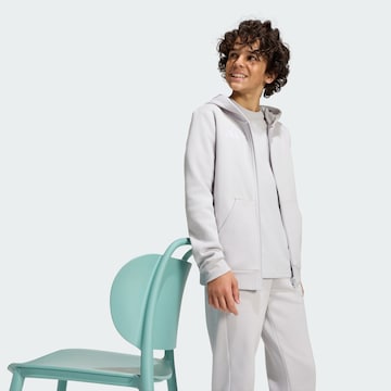 ADIDAS PERFORMANCE - Tapered Pantalón deportivo 'Entrada26' en gris