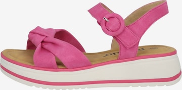 Palado Sandals in Pink