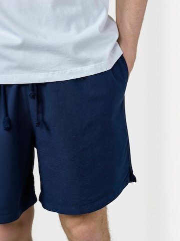Regular Pantaloni ' Bertram ' de la Klitmøller Collective pe albastru