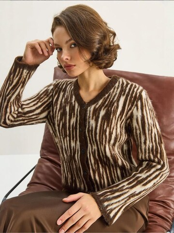 Bianco Lucci Knit Cardigan in Brown