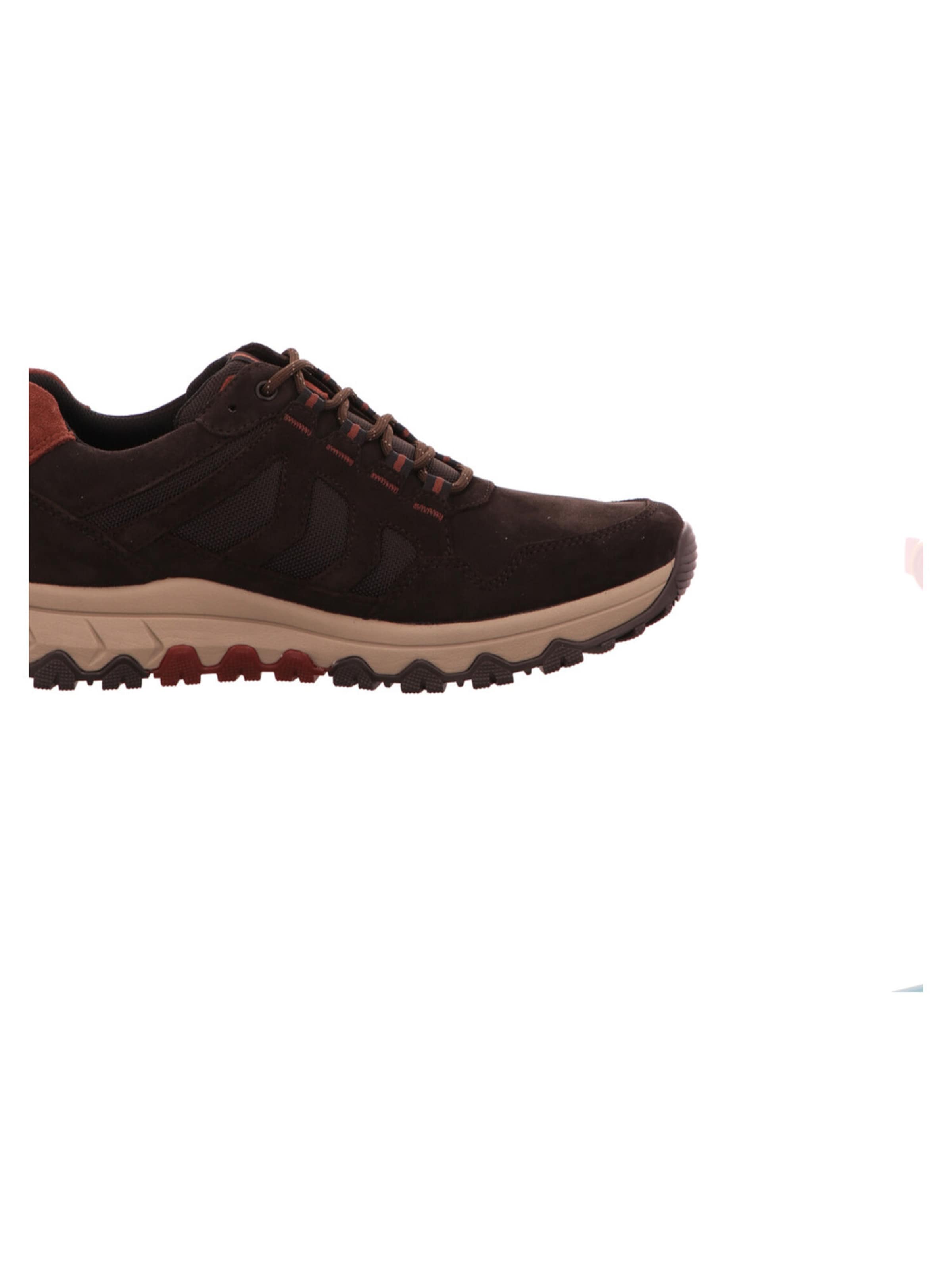 Pius Gabor Sneakers in Brown