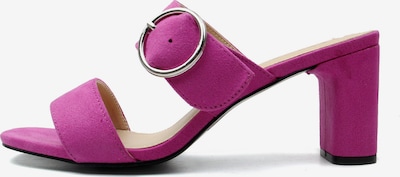 Celena Pistokkaat 'Cattaleya' värissä lila, Tuotenäkymä