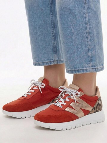 Wonders Sneakersy niskie 'A-24100-FLAM-RAME' w kolorze czerwony