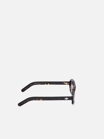 ADIDAS ORIGINALS Zonnebril 'Adidas Originals OR0134 Shiny blue 55/16/145 MAN Sunglasses' in Bruin