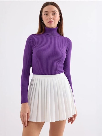 Bigdart Sweater in Purple: front