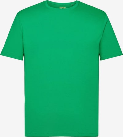 ESPRIT Shirt in de kleur Groen, Productweergave