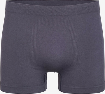 FALKE Boxershorts 'Seamless' in Grau: Vorderseite
