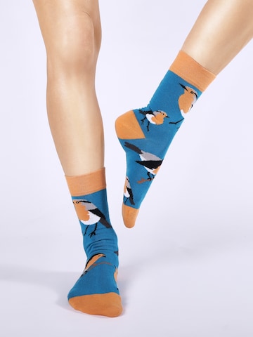 UNABUX Socks in Mixed colors: front