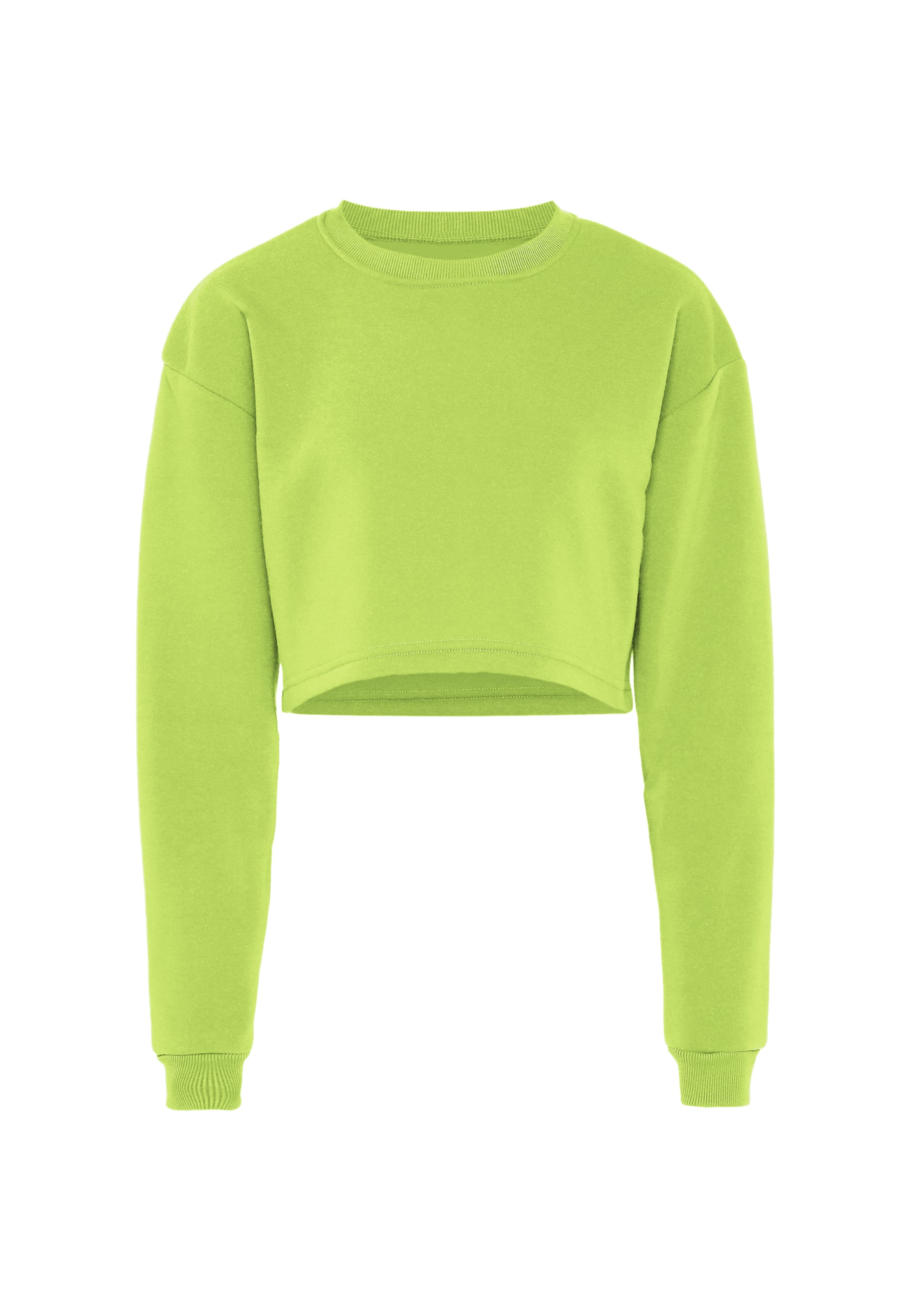 hoona Sweatshirt in Green: front