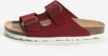 Bayton Mule 'Tracy' in Red: front