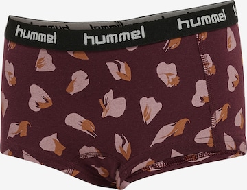 Hummel Unterhose 'Carolina' in Rot