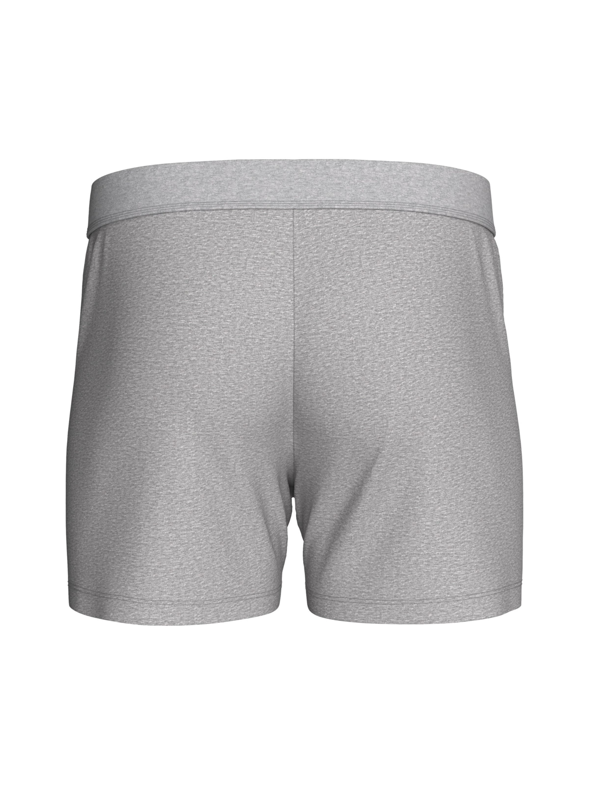 Boxers IMPETUS en gris