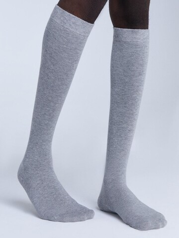 Albero Natur Knee High Socks in Grey
