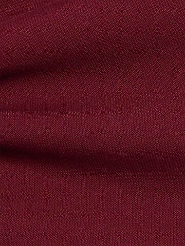 Pull-over 'Merina' ARMEDANGELS en rouge