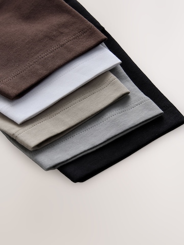 Next Shirt in Mischfarben