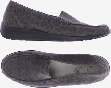 WALDLÄUFER Flats & Loafers in 38,5 in Grey: front