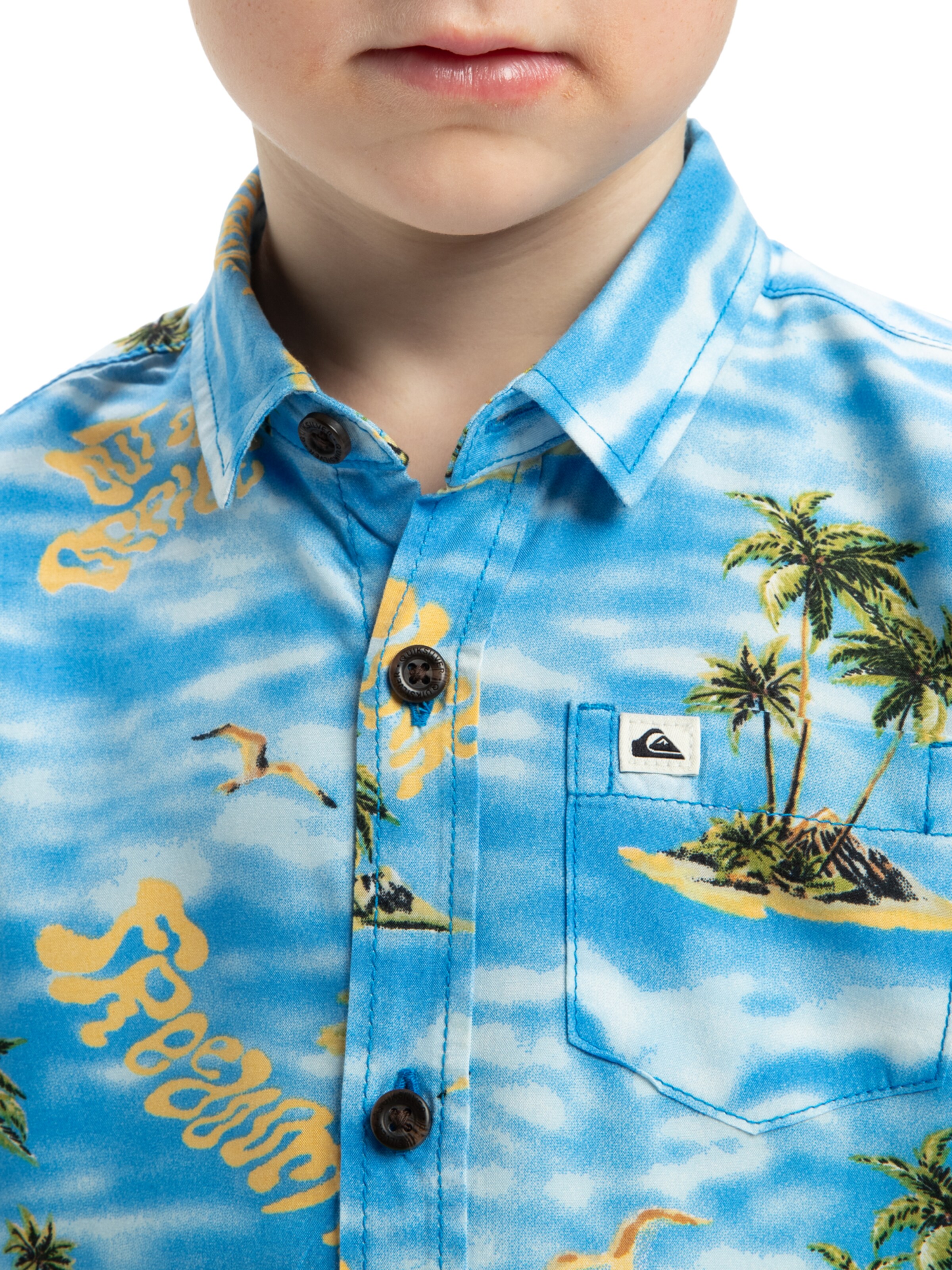 QUIKSILVER Regular fit Overhemd 'Safe Paradise' in Blauw