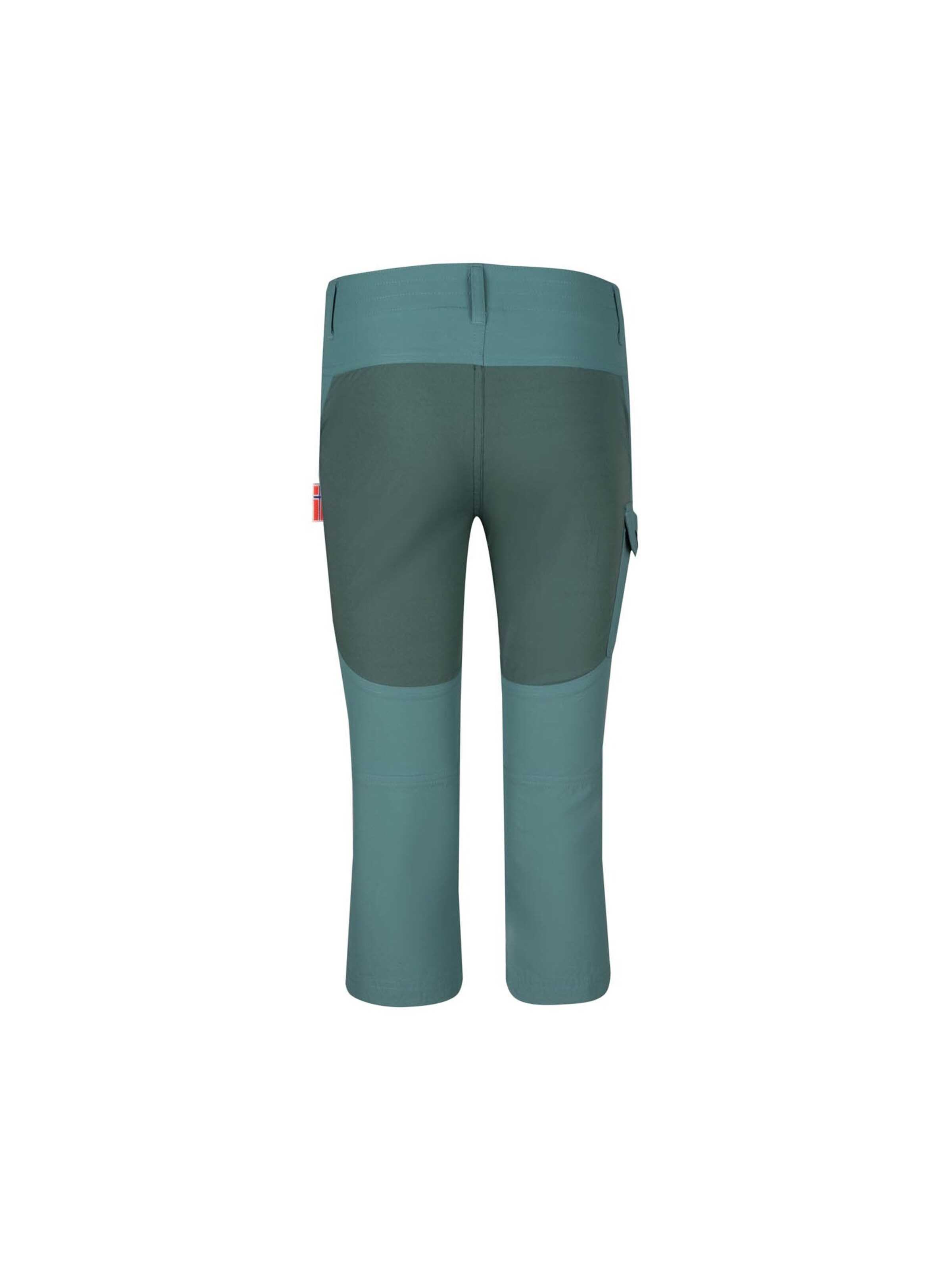 TROLLKIDS Regular Pants in Green