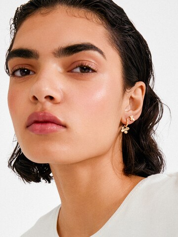 Pilgrim Kõrvarõngas 'Ajani', värv Kuld: eest vaates