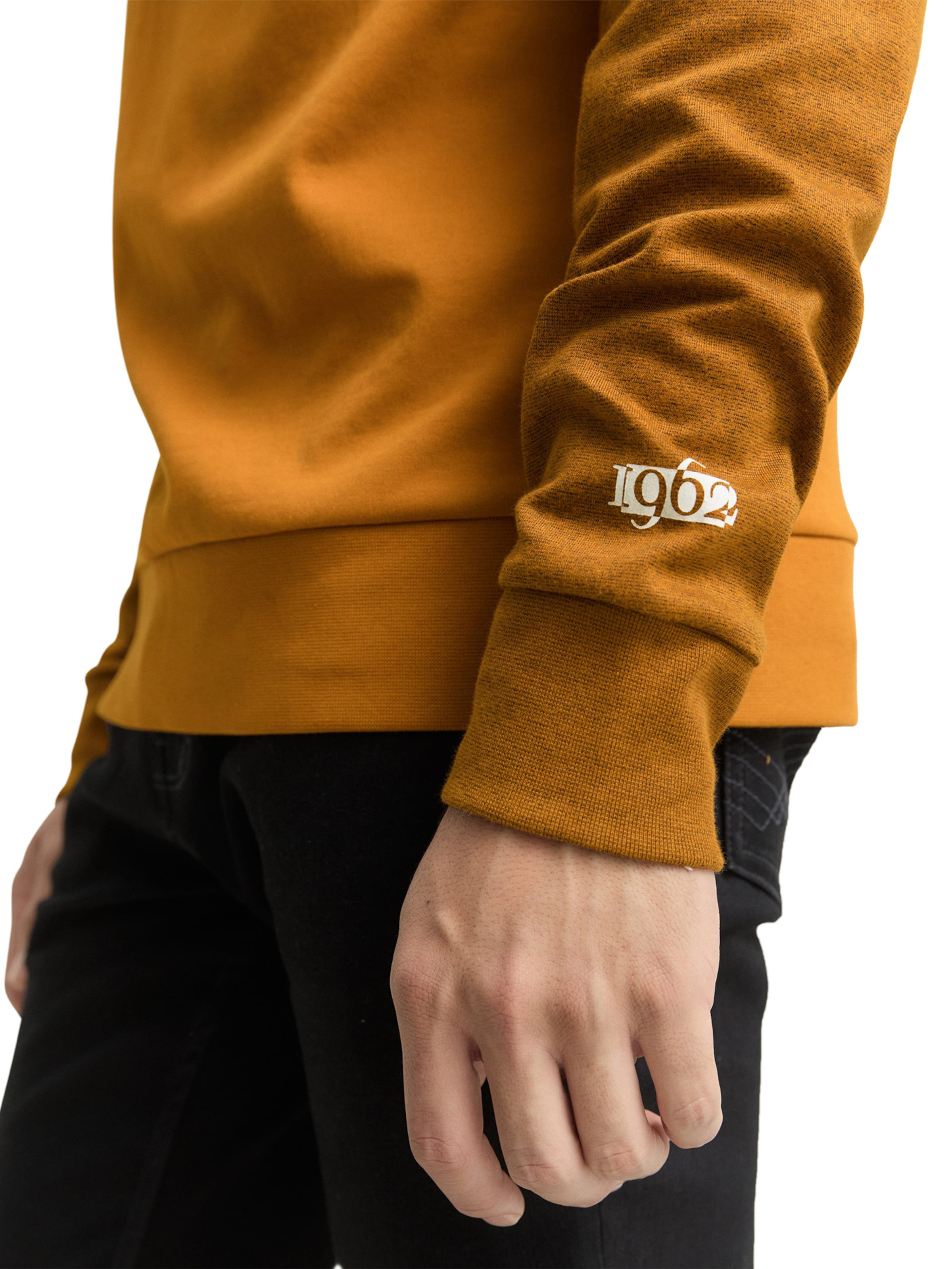 Felpa di TOM TAILOR in marrone