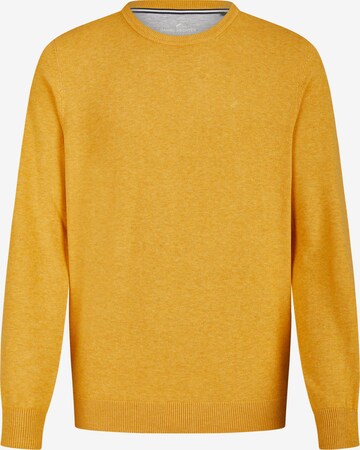 HECHTER PARIS Sweater in Yellow: front