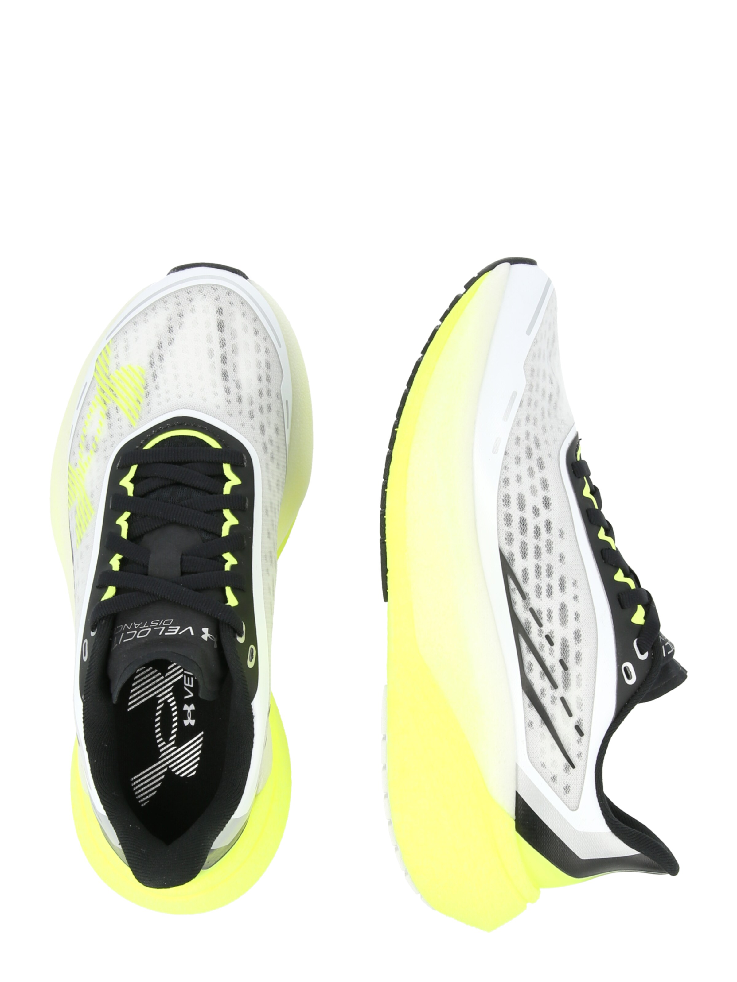 UNDER ARMOUR Running Shoes 'Velociti Distance' in Yellow