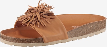 VERBENAS Pantolette in Braun: Vorderseite