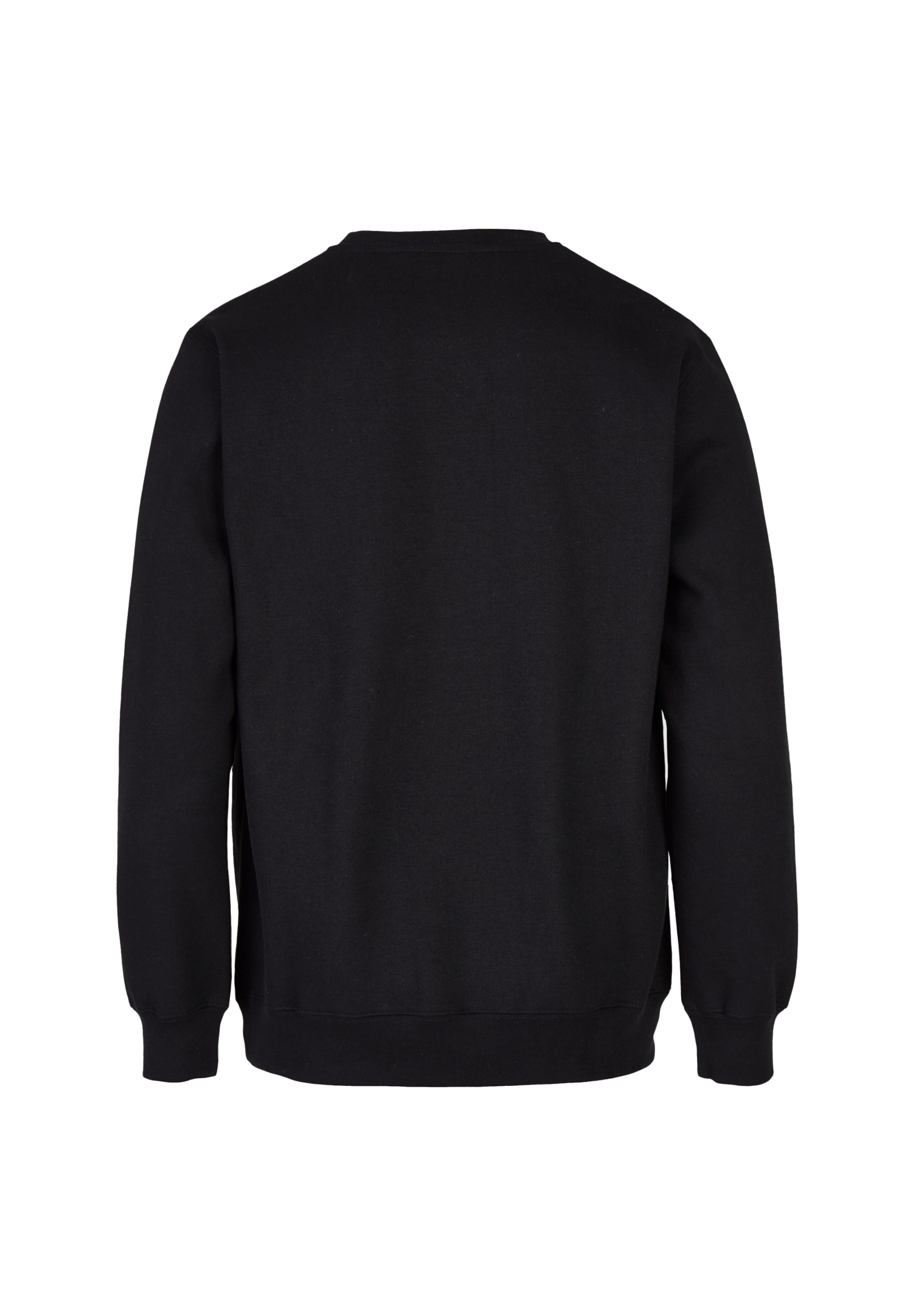 Cleptomanicx Sweatshirt 'Embro Gull' in Black