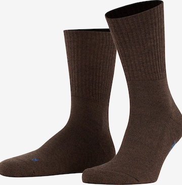 FALKE Socks 'Walkie Light' in Brown: front
