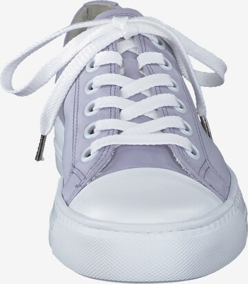 Paul Green Sneaker in Lila