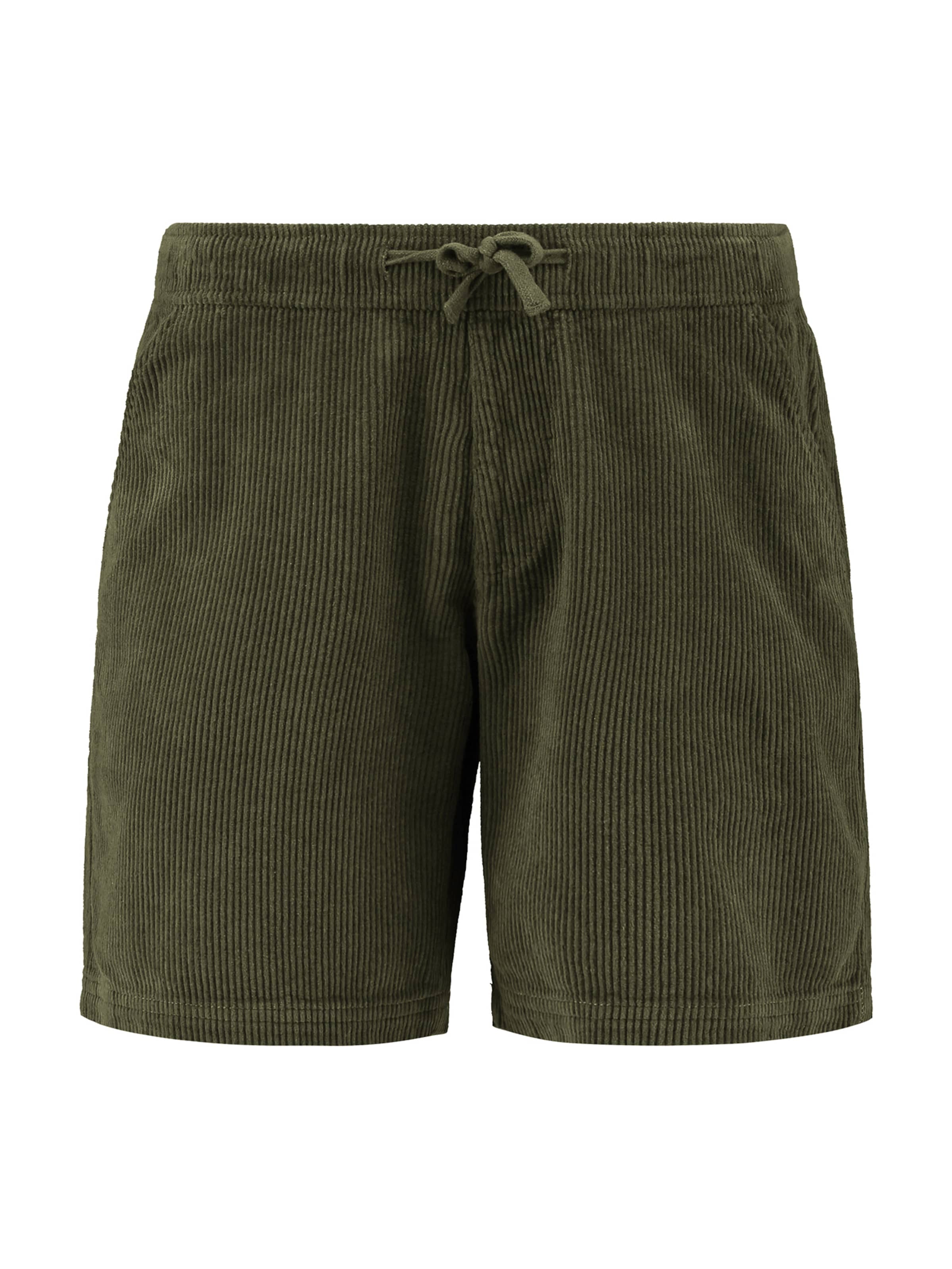 Shiwi Trousers 'RIO' in Green: front