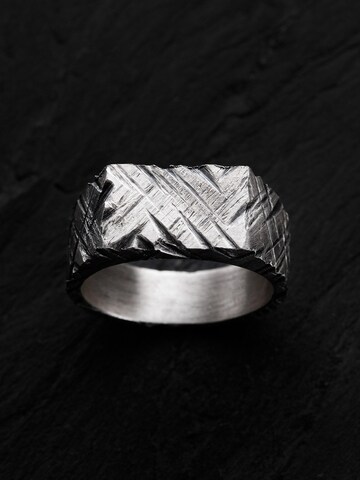 REYTEL Ring 'ERFARING' in Zilver